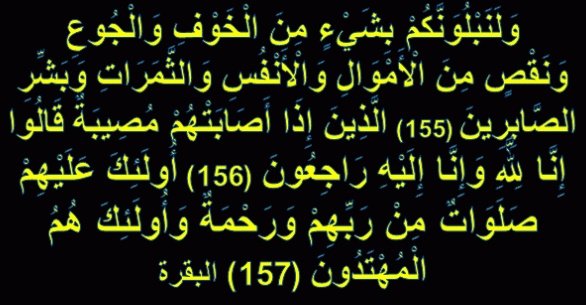 🇸🇦العودلاحق ISFJ🇸🇦 tweet media