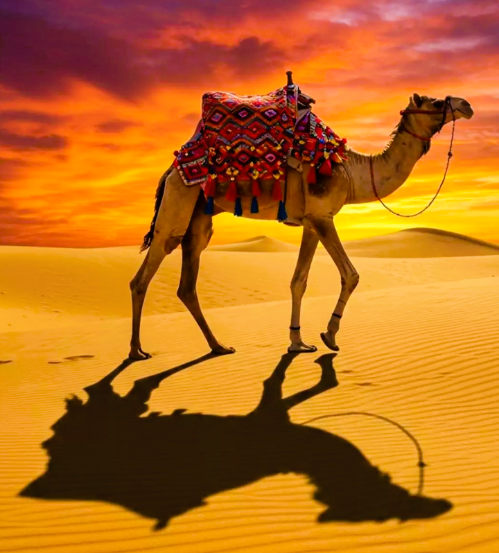 Bitmessa tweet media