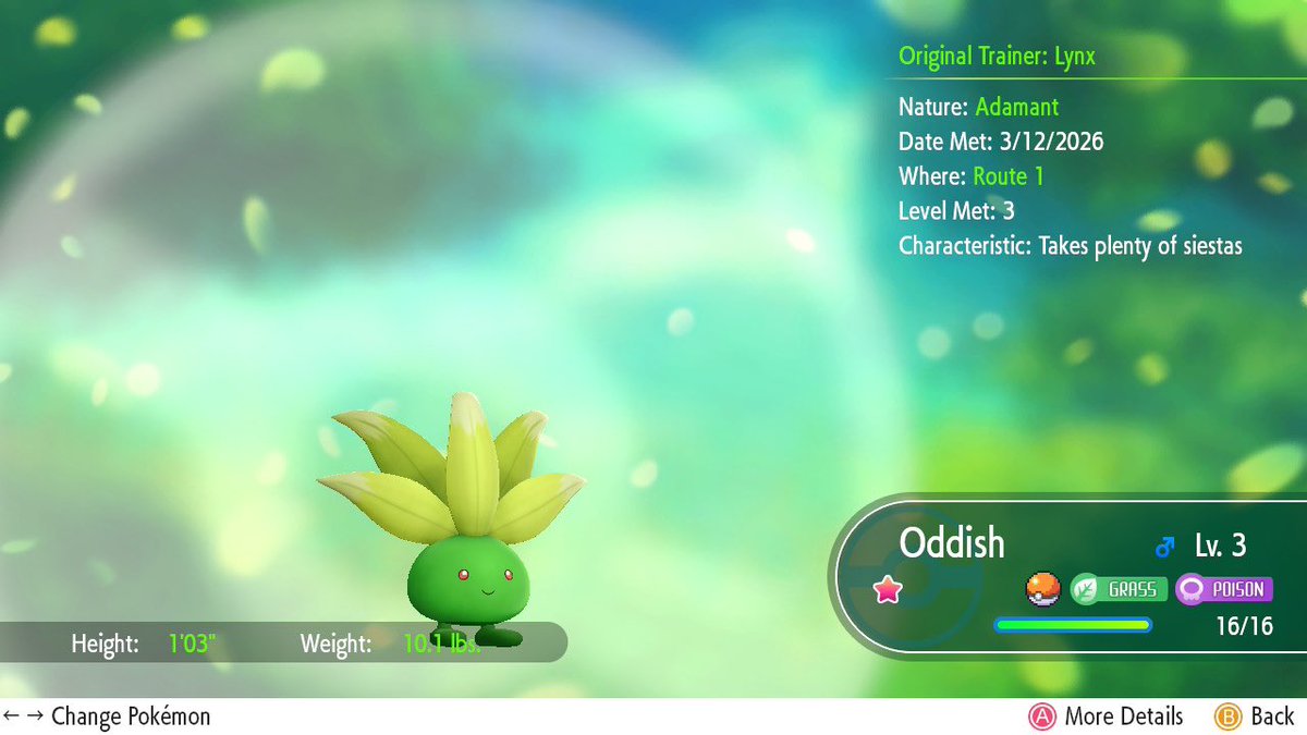 midnitelynx.bsky.social tweet media