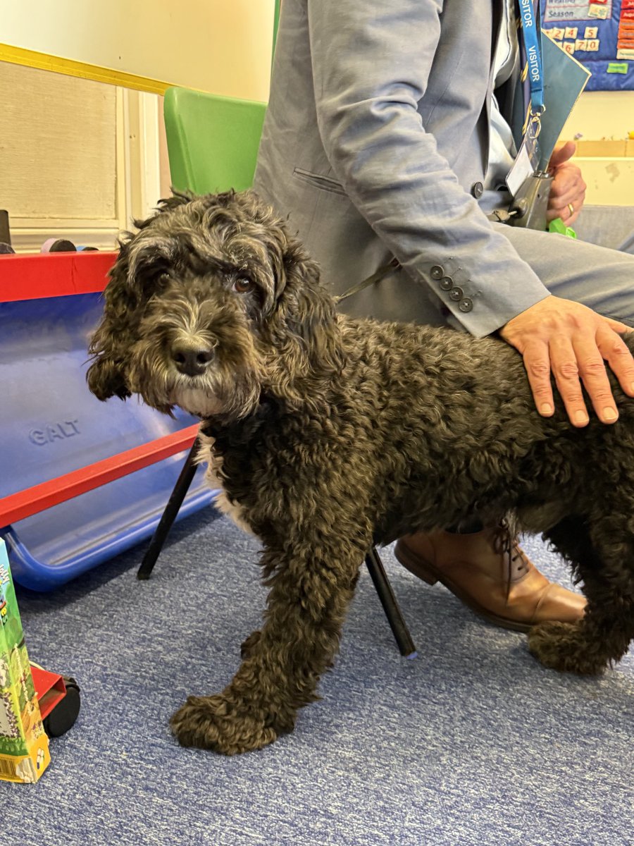 Upton Transition tweet media