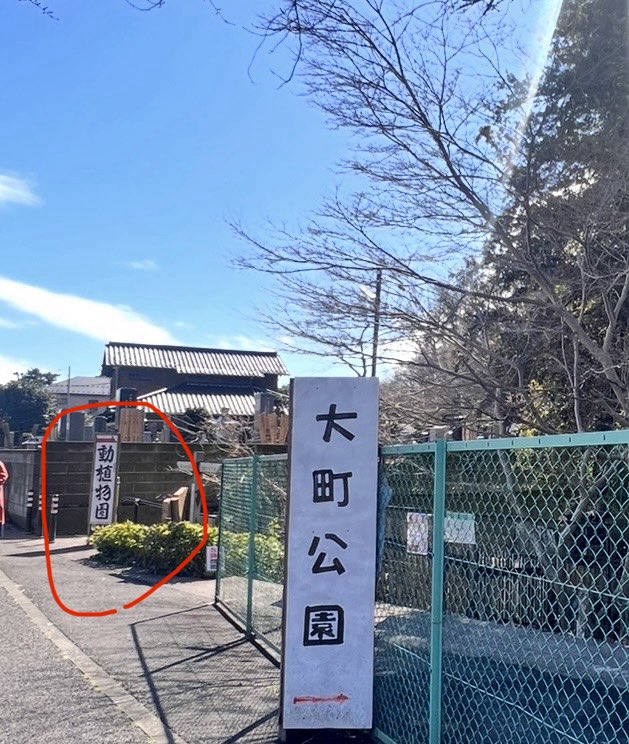 ねんね。 tweet media