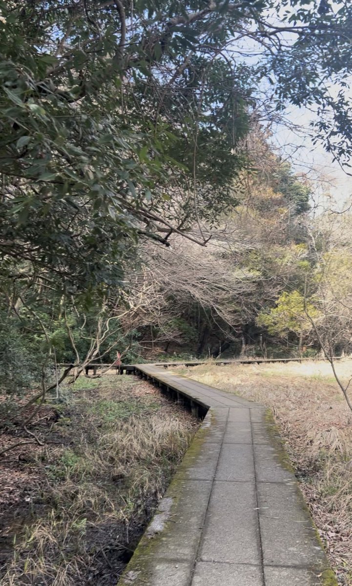 ねんね。 tweet media