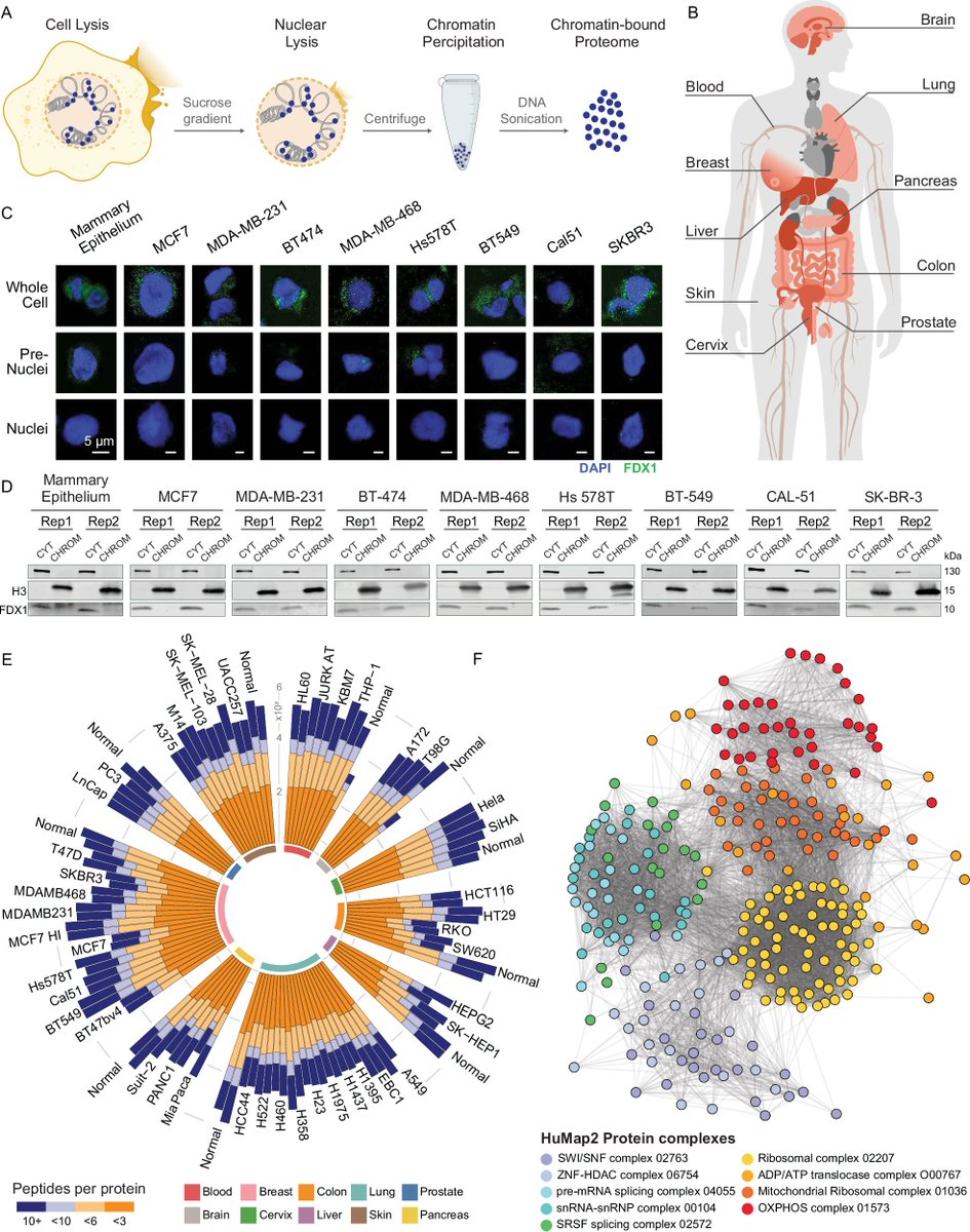 Epigenome Technologies Inc. tweet media