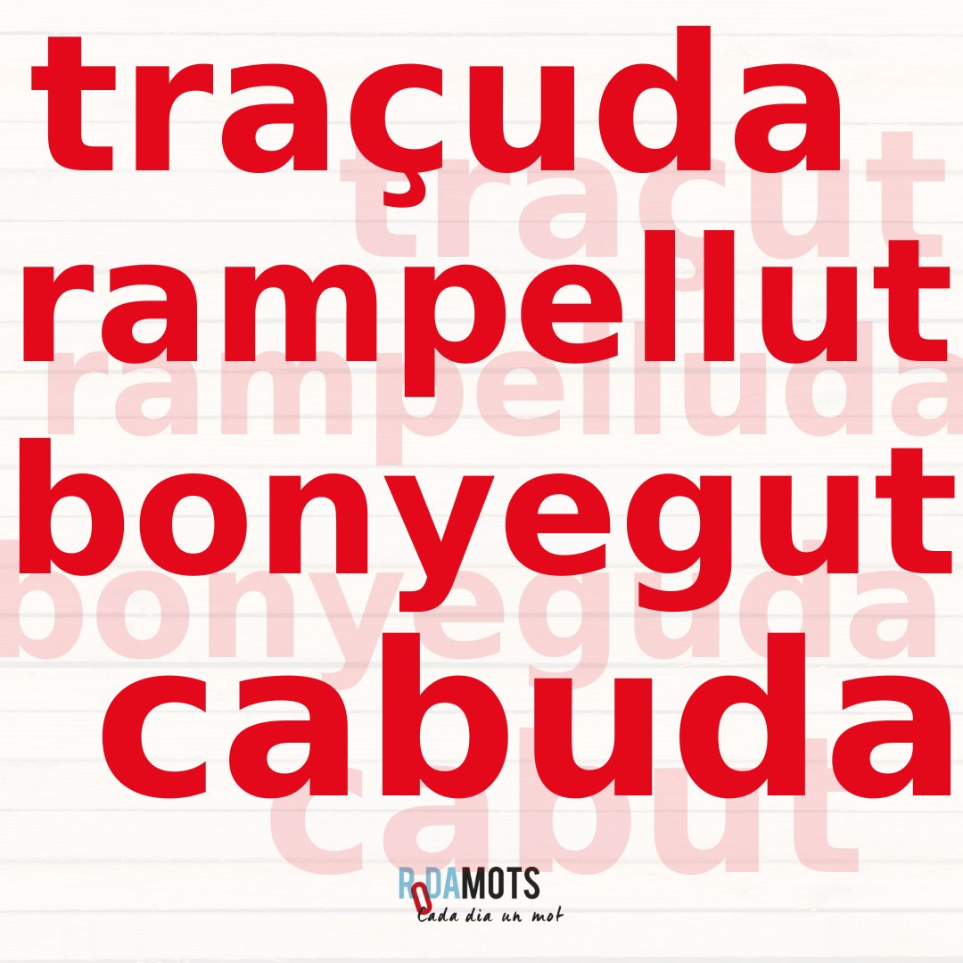 Rodamots tweet media