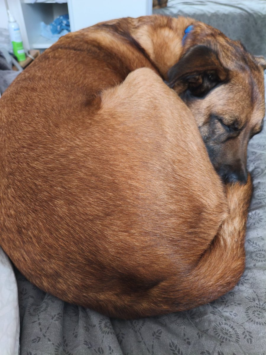 Pascha 🎀 tweet media