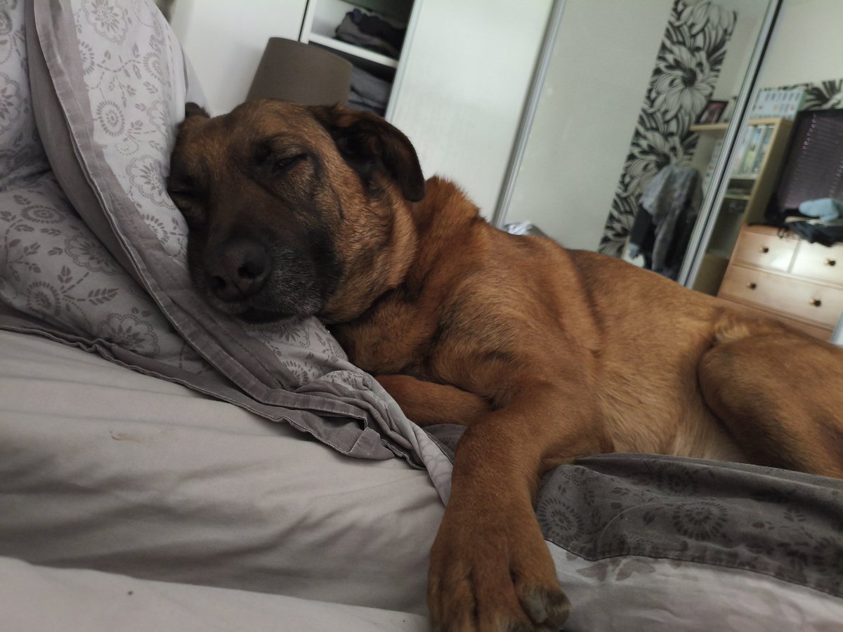 Pascha 🎀 tweet media