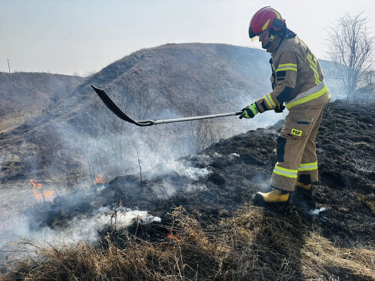 Państwowa Straż Pożarna tweet media