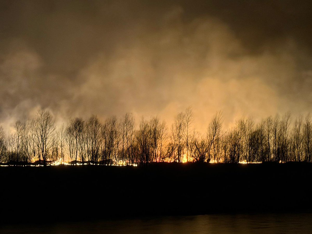 Państwowa Straż Pożarna tweet media