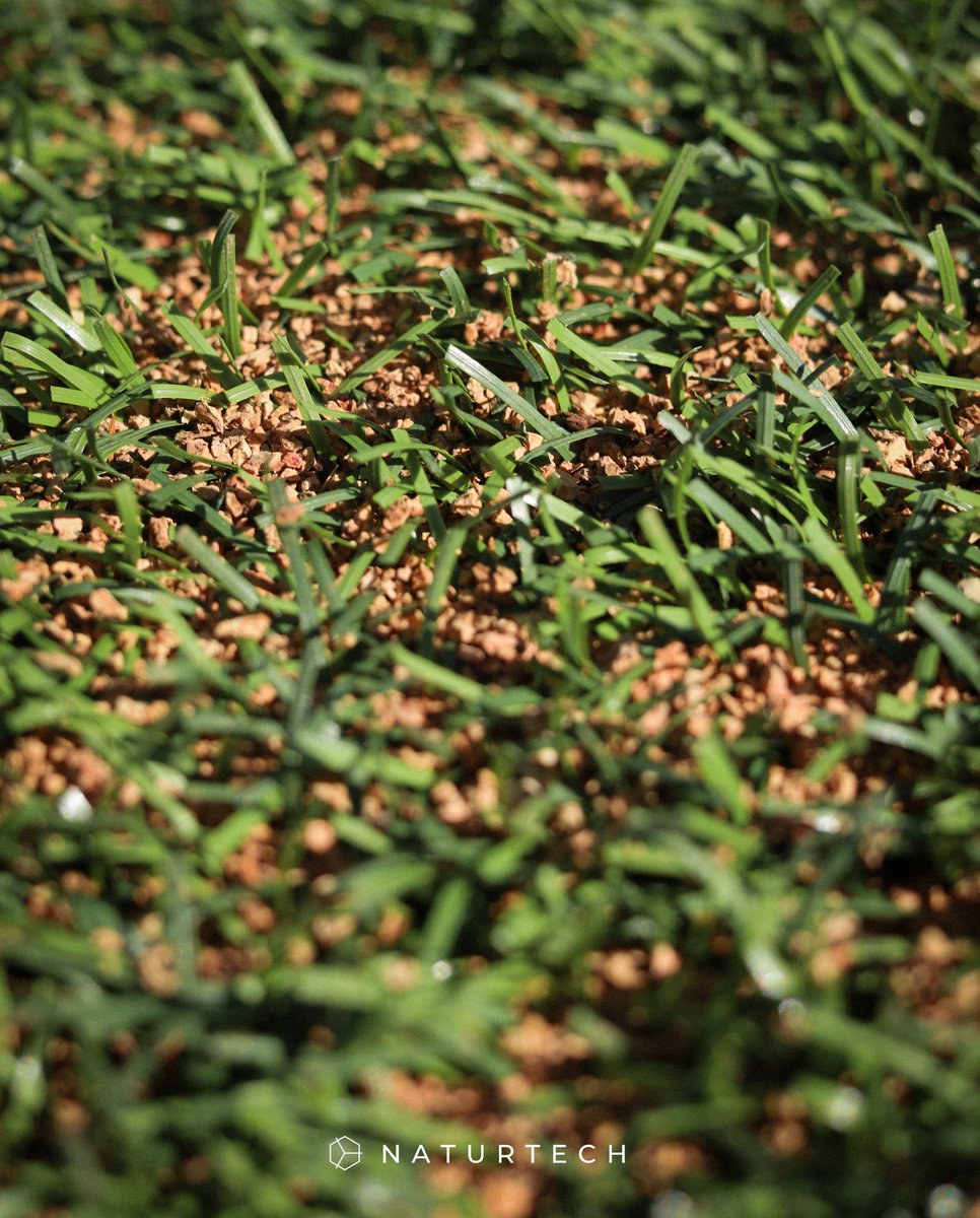 GRANORTE tweet media