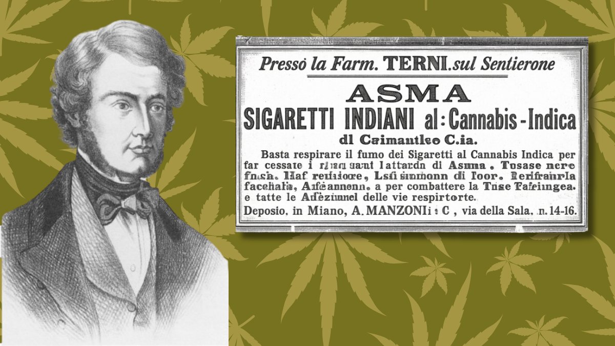 Sancho Panza CBD tweet media