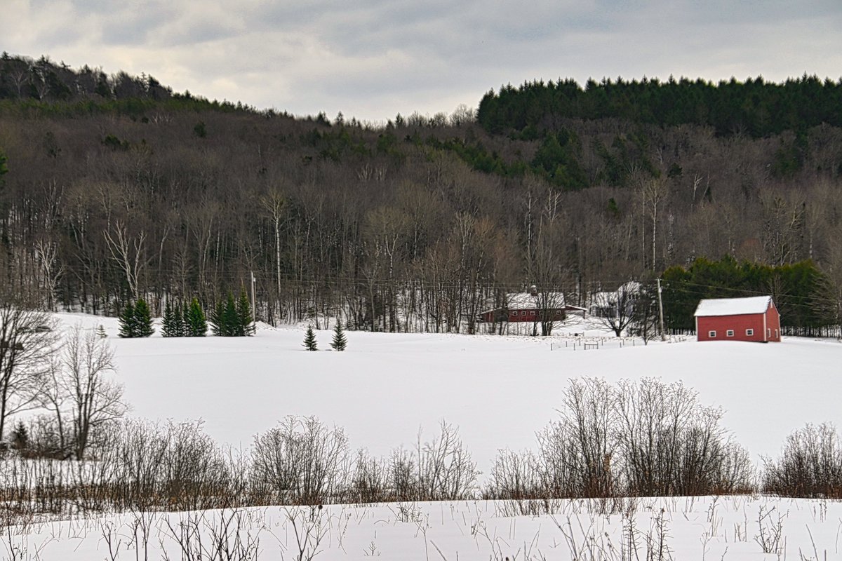 Kbrad980's tweet photo. #Vermont #Landscapes #Vermontliving
#Vermont #Landscapes #Vermontliving
#Vermont #Landscapes #Vermontliving #VermontCountryside #Vermonttravel #nature https://t.co/xFzH3UyAT3