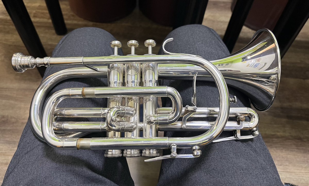 あねやん.tp🎺Aneyan, a trumpeter 🇯🇵 tweet media