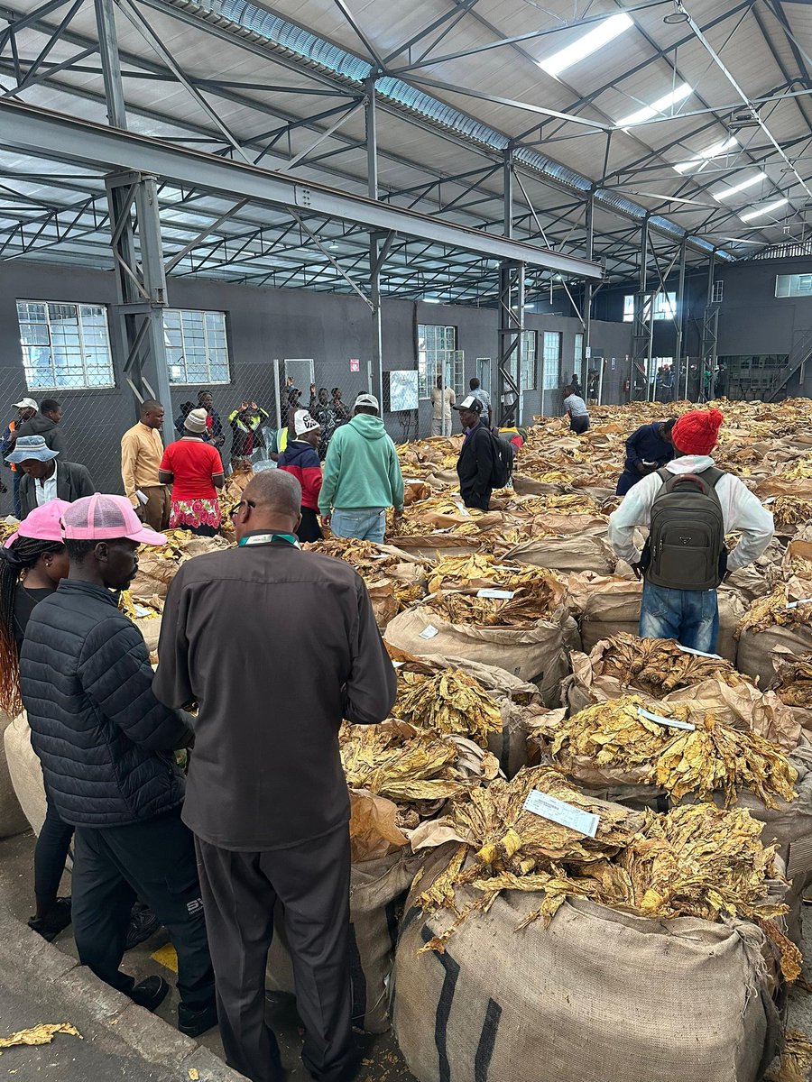 Tobacco Industry & Marketing Board tweet media