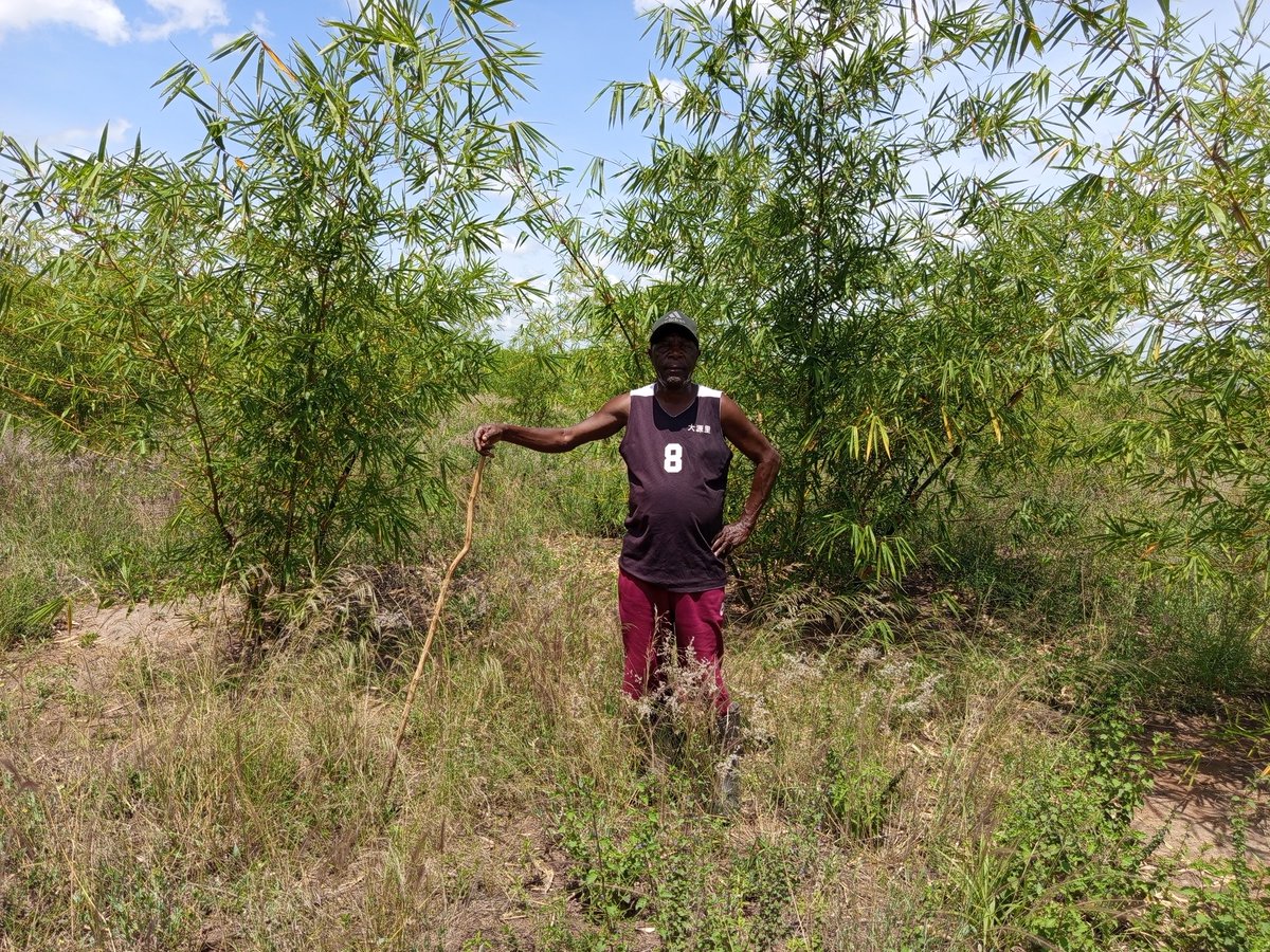 Ofwono Opondo P'Odel tweet media