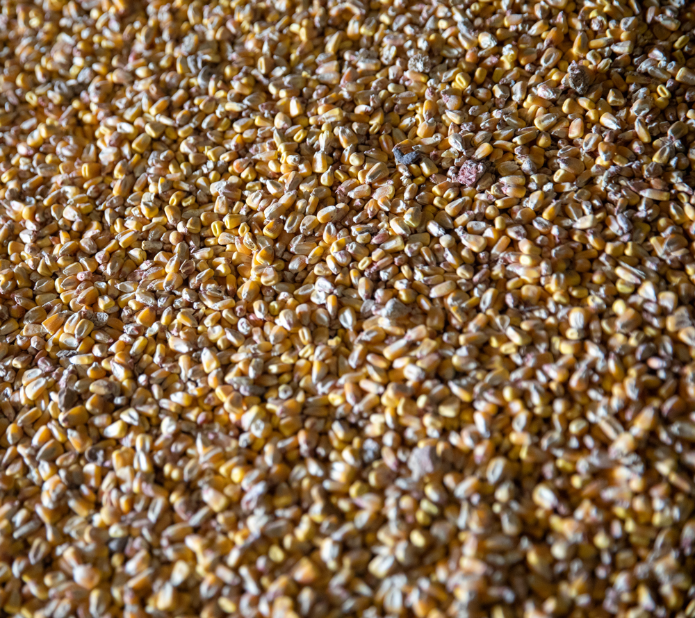 The EBRD tweet media