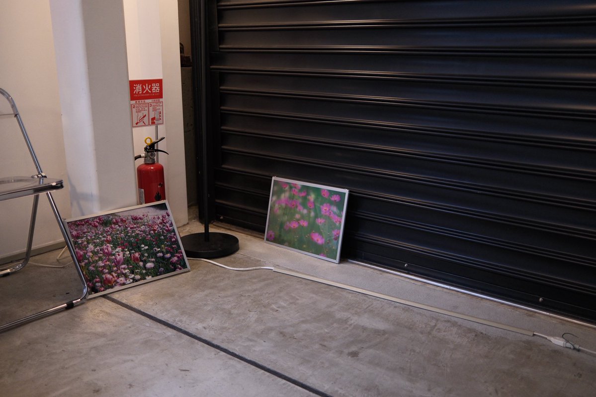 マンスーン tweet media