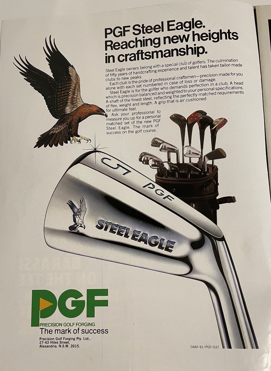 TalkBirdieToMe tweet media