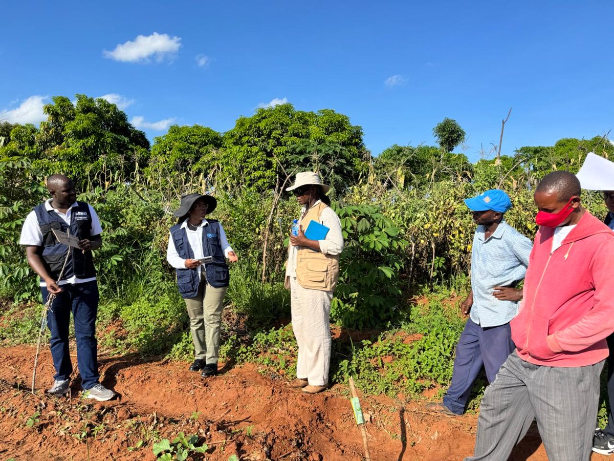 FAO in Kenya tweet media