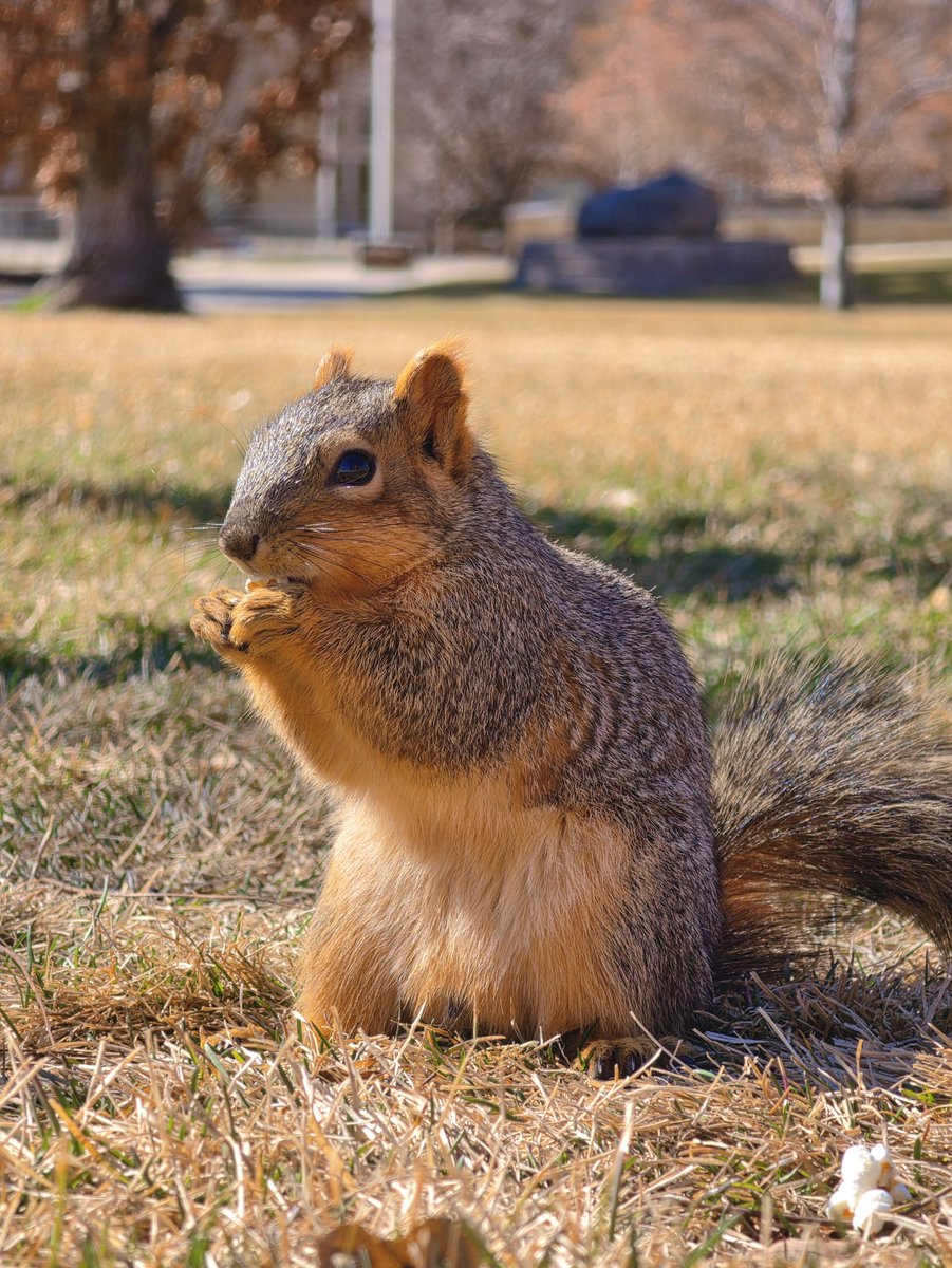 Fahim Al Mahmud Ashik tweet media