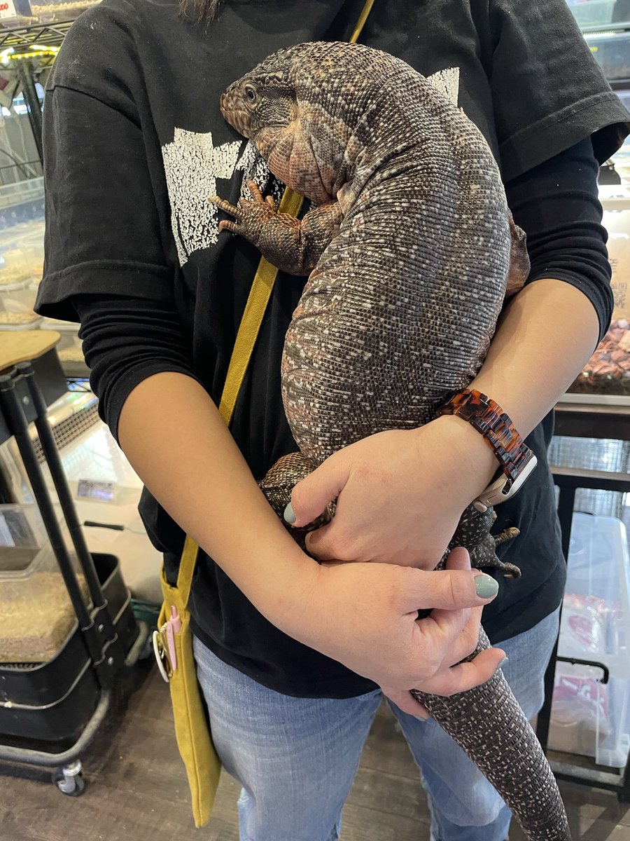 オカハコクルーアカウント tweet media