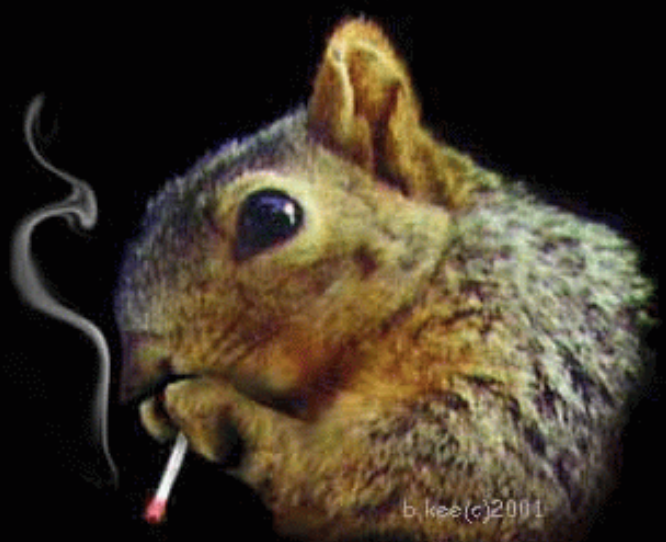 Boundless tweet media