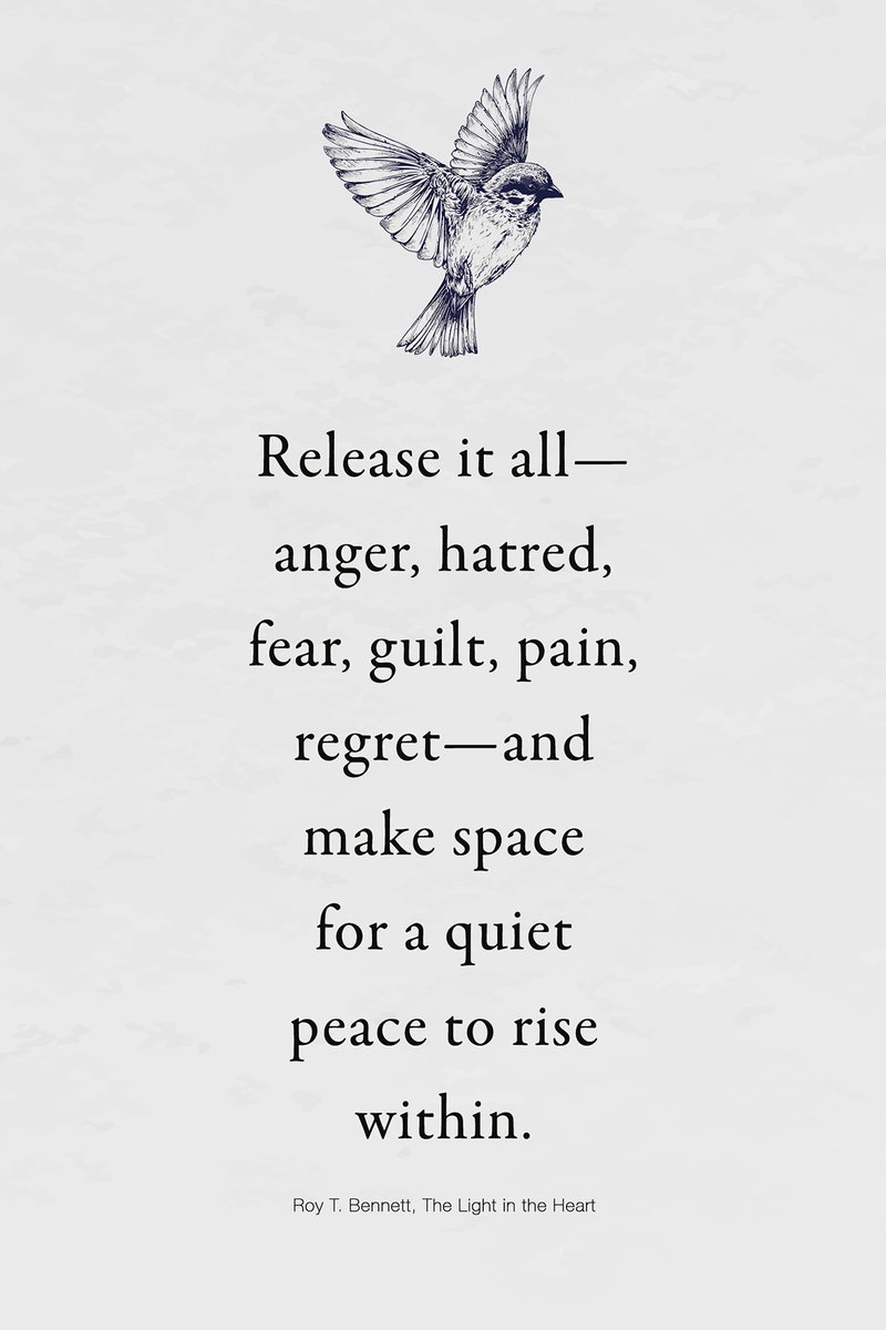 Release it all—anger, hatred, fear, guilt, pain, regret—and make space for a quiet peace to rise within.
Roy T. Bennett, The Light in the Heart