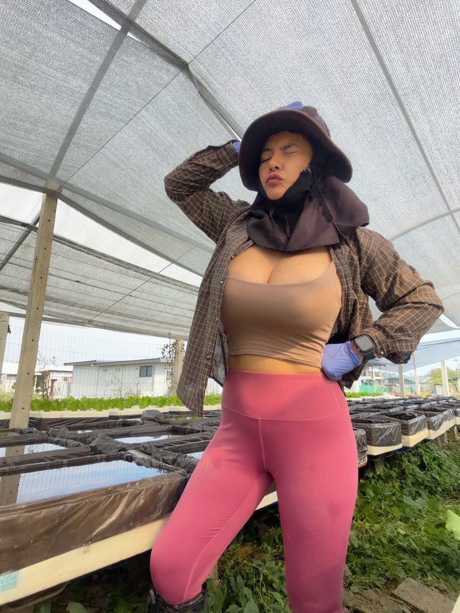 กล้วยแขก สุมิตรา🇹🇭 tweet media