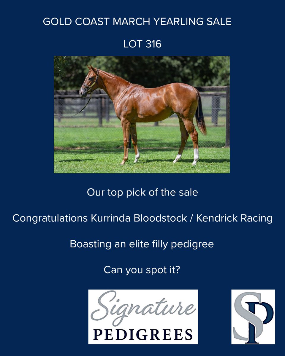 Signature Pedigrees tweet media