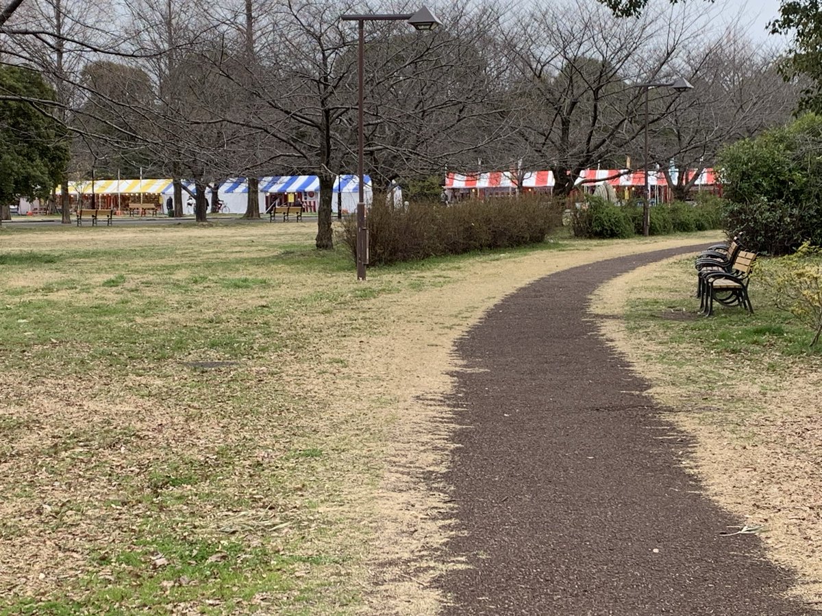 Parro_66's tweet photo. 3月13日 足立 舎人公園の様子 https://t.co/h5T9uCY3MK