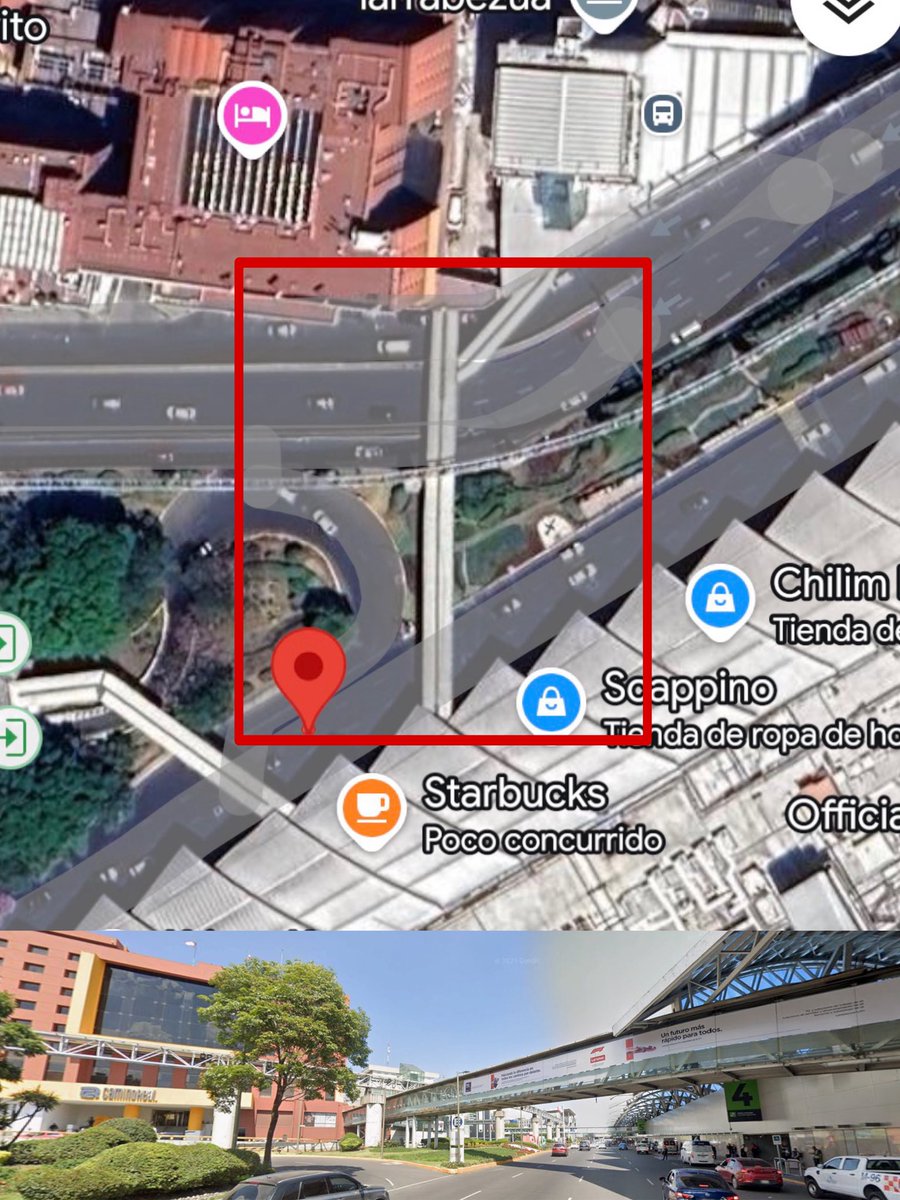 𝘼𝙧𝟮_𝙈𝙭🦎🇲🇽 tweet media