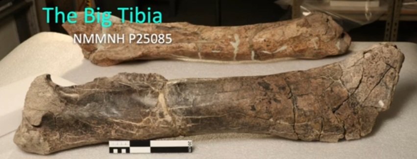 Deform 2026 tweet media