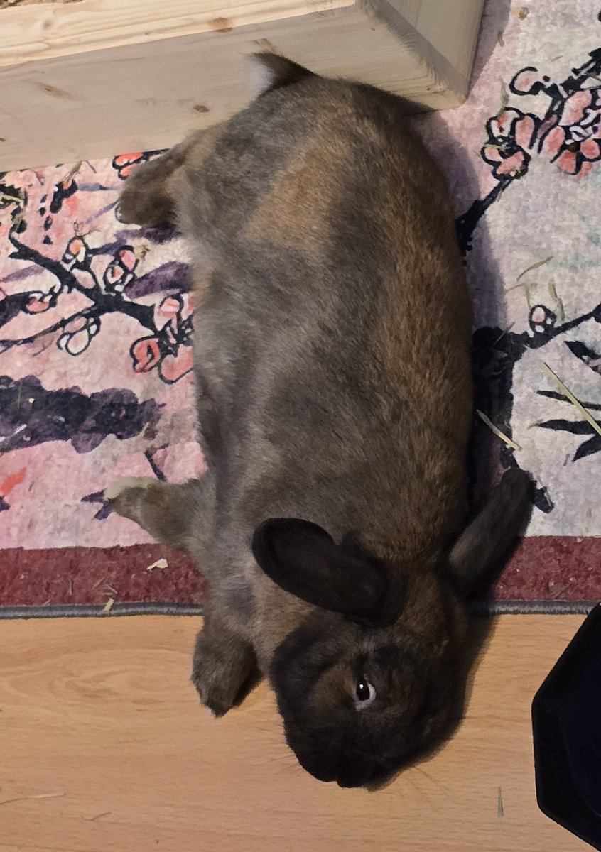 Lythero 🎮 tweet media