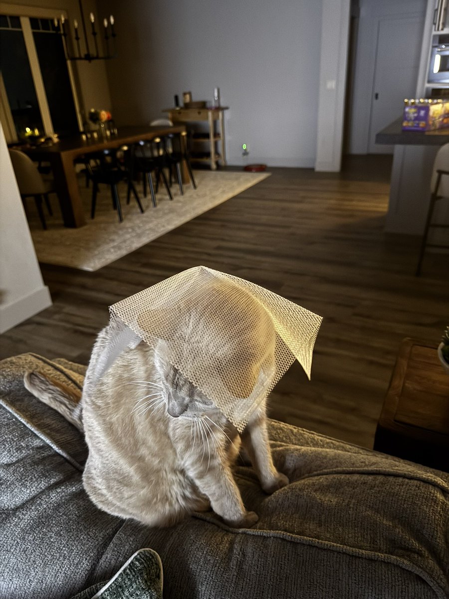 Jess Biller, DO tweet media