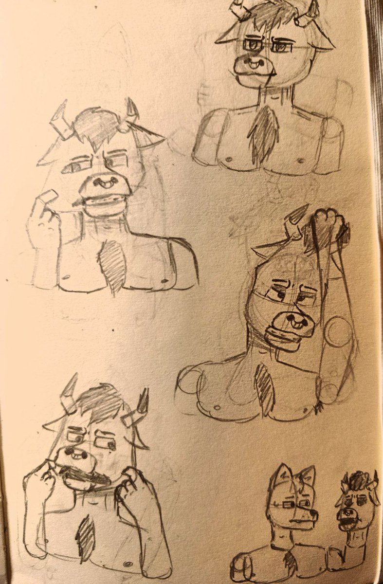 Lukas the weasel tweet media