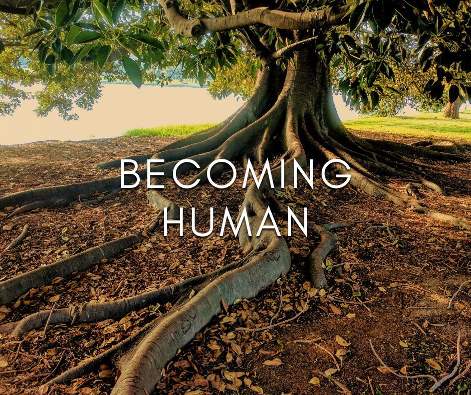 The Gene Keys tweet media