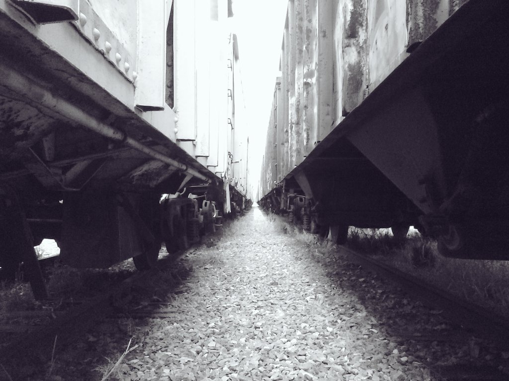 datengugod's tweet image. REAL PHOTOGRAPHY STILL MATTERS
#ADVENTURE #EXPLORATION #NATURE #NORWICHCT