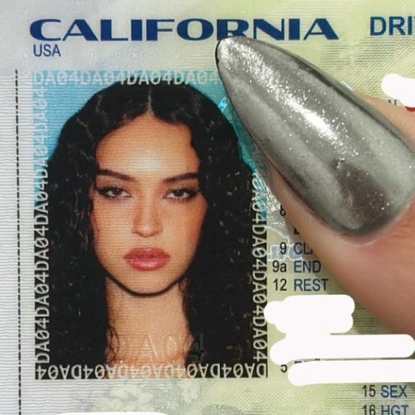 if danon can post their passport ids/drivers license then i wanna see sophia's barangay or national id🤓