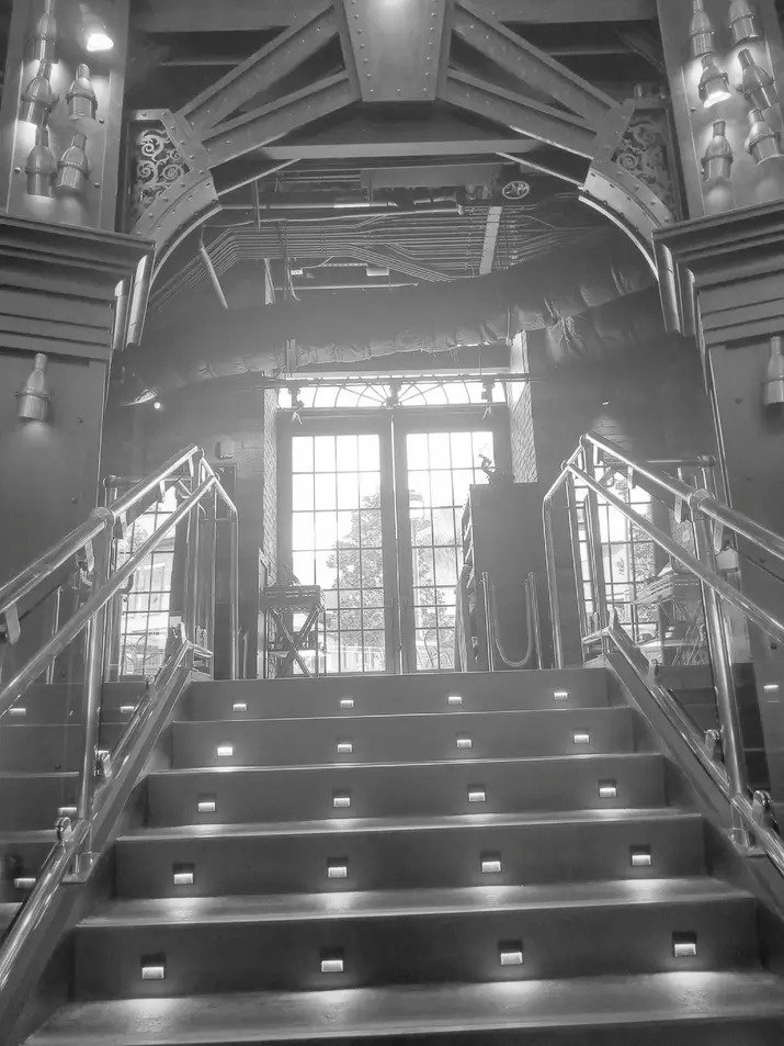 VividGroovy's tweet photo. #Blackandwhite photos of the #Steampunk #WaltDisneyWorld restaurant #TheEdison. Also, #furryart of my OC Power Hoss hanging out there. #furry https://t.co/9Kk0zSO428