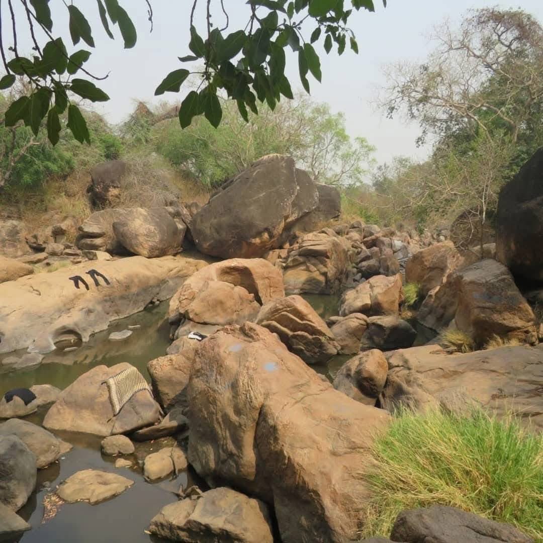JekapOmod's tweet photo. #Gambella is truly a hidden gem in #Ethiopia! A beautiful green paradise with refreshing nature. Imagine how beautiful this region would be if we added to what God has already created here! It only needs a little human touch to transform the region. The work that Madam President Alemitu has started is very impressive and promising. This must continue despite all the security challenges!