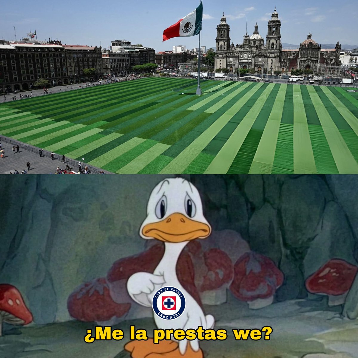 *Ponen una cancha en el Zócalo*

Automáticamente el Cruz Azul: