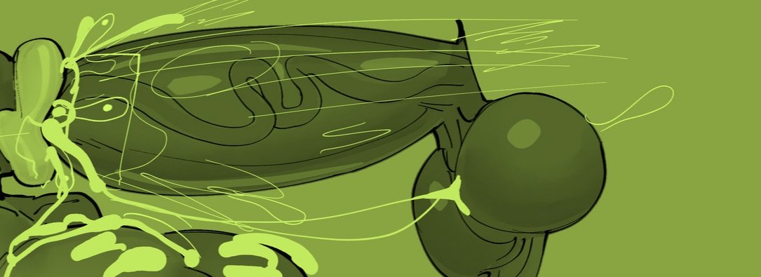 ๐๐๐๐. tweet media