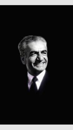 شِلمان Skalman tweet media