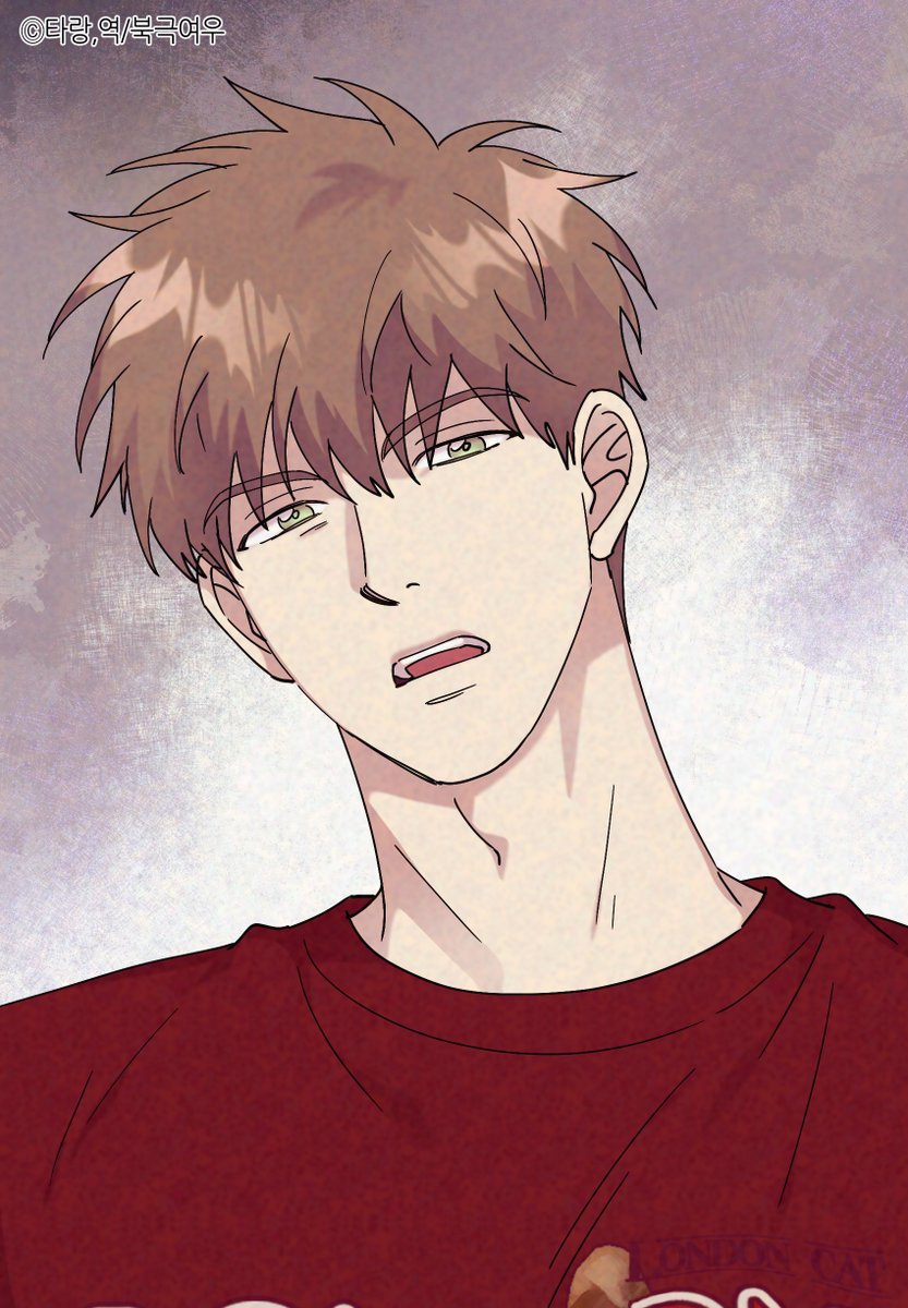 북극여우 만화 tweet media