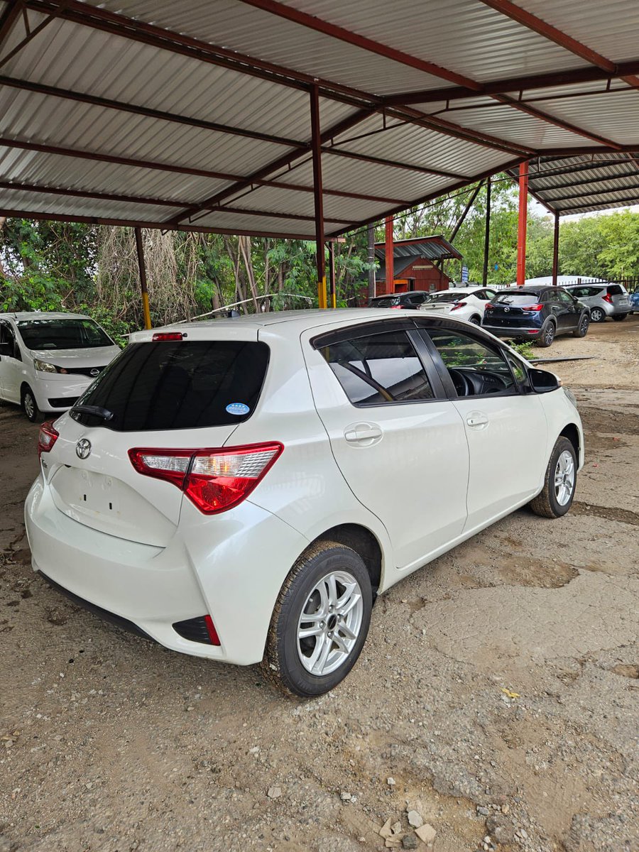 JENAMI ISAAC (CHIEF MTEKEDZA) tweet media