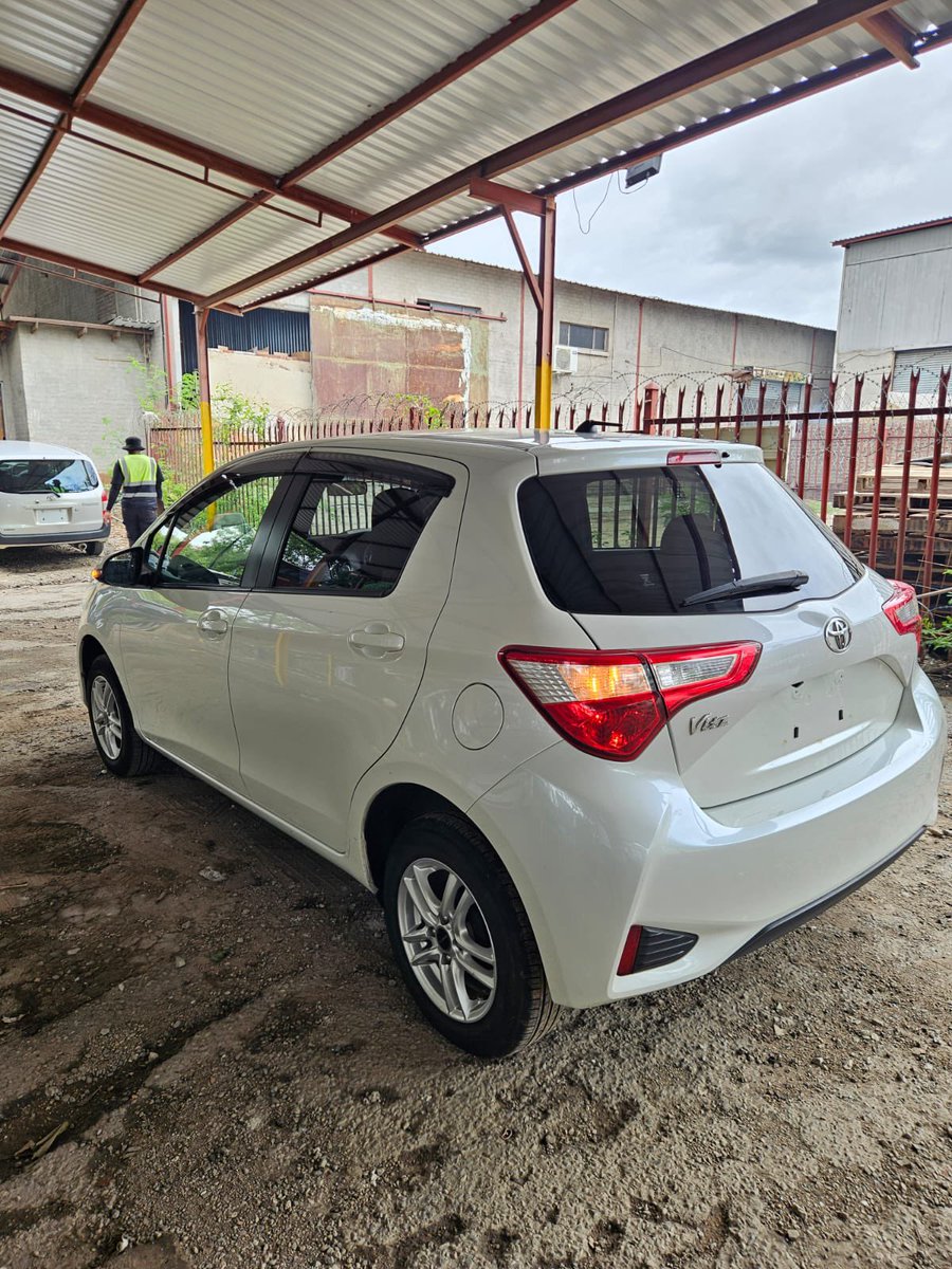 JENAMI ISAAC (CHIEF MTEKEDZA) tweet media