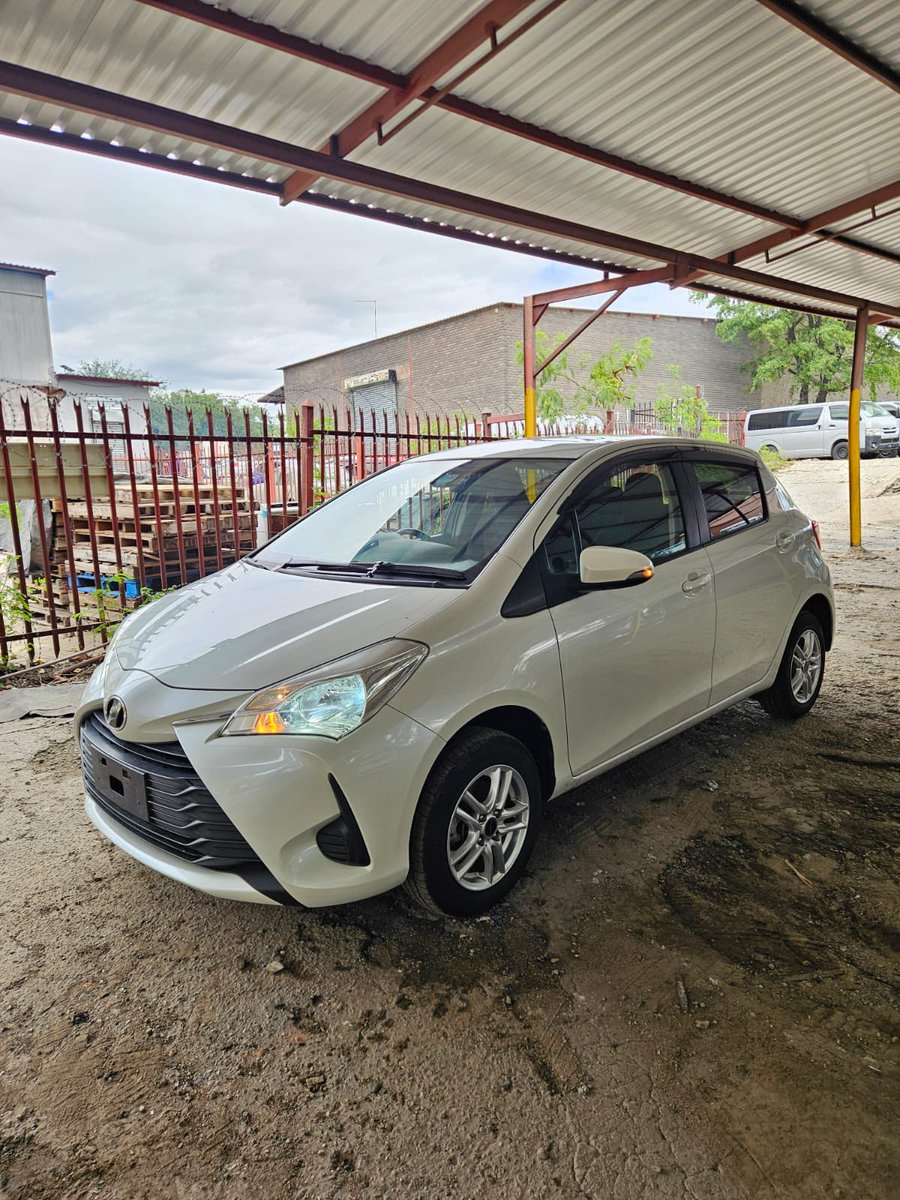 JENAMI ISAAC (CHIEF MTEKEDZA) tweet media