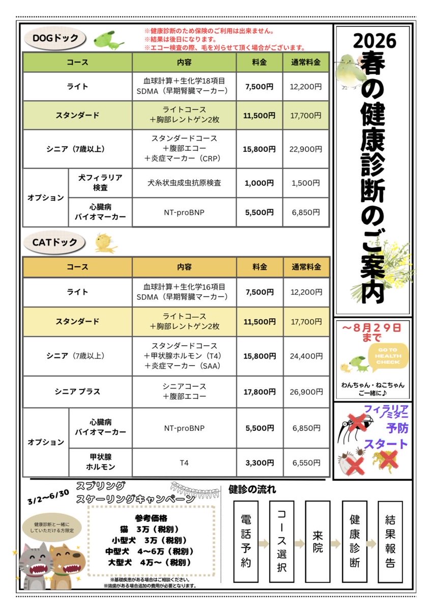 takamiya_pet's tweet photo. 3月から、毎年恒例の春の健康診断のコースをはじめています🌸
同時にスケーリングキャンペーン🦷を行っています🐶😺
ぜひこの機会に☺️
#たかみや通り動物クリニック　#春の健康診断　#スプリングスケーリングキャンペーン https://t.co/saHDYgGKIo