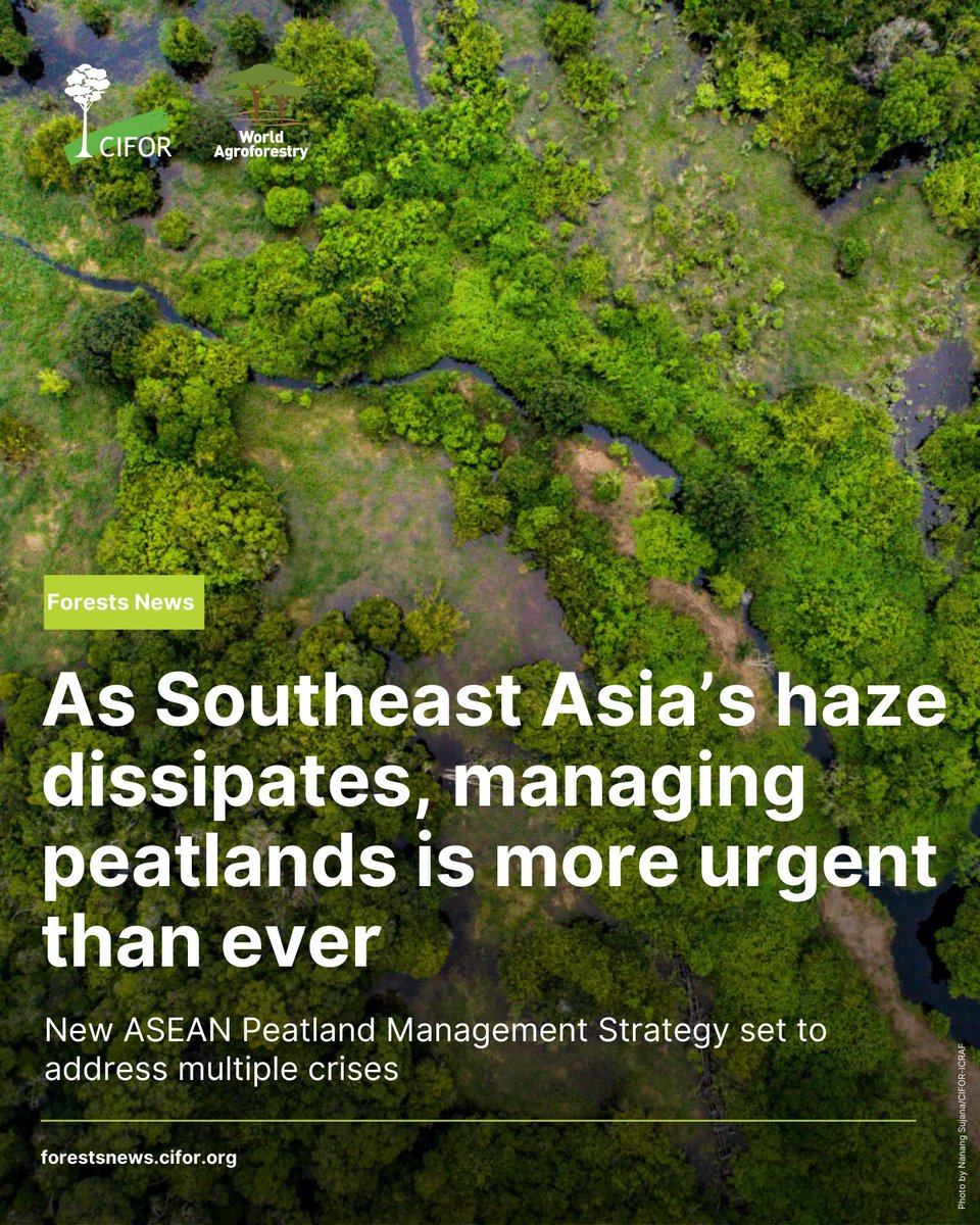 CIFOR-ICRAF tweet media