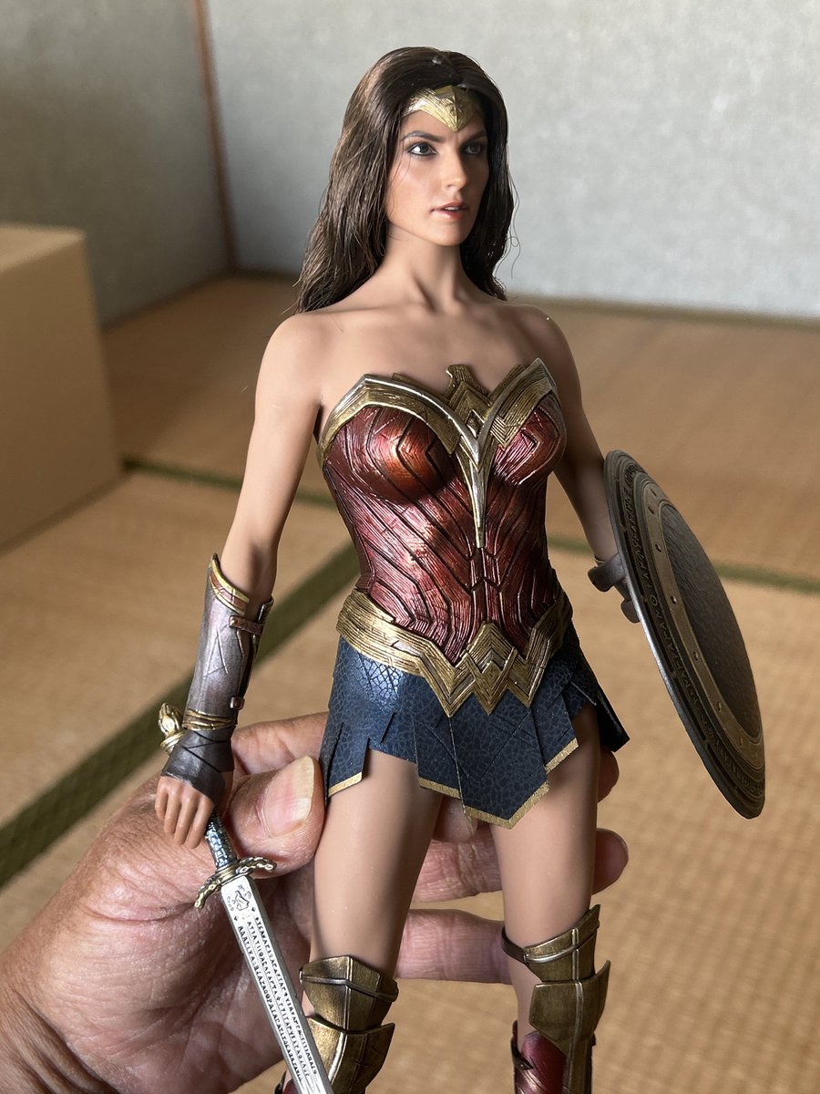 102003.3 ホットトイズ 1/6 フィギュア ワンダーウーマン バットマン