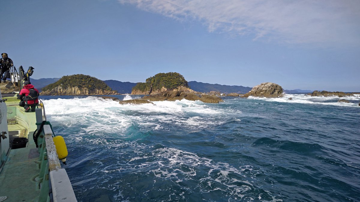 tureture55's tweet photo. 今週も牟岐津島に出撃。
北東の爆風、大波で大荒れ
サラシで真っ白
撒き餌を打つと小長とキツの運動会💦
早々に顔は見たが、ムズいね😑
38頭に５尾
又来週やね。 https://t.co/DVuyNxxZVw